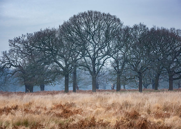 England-in-winter