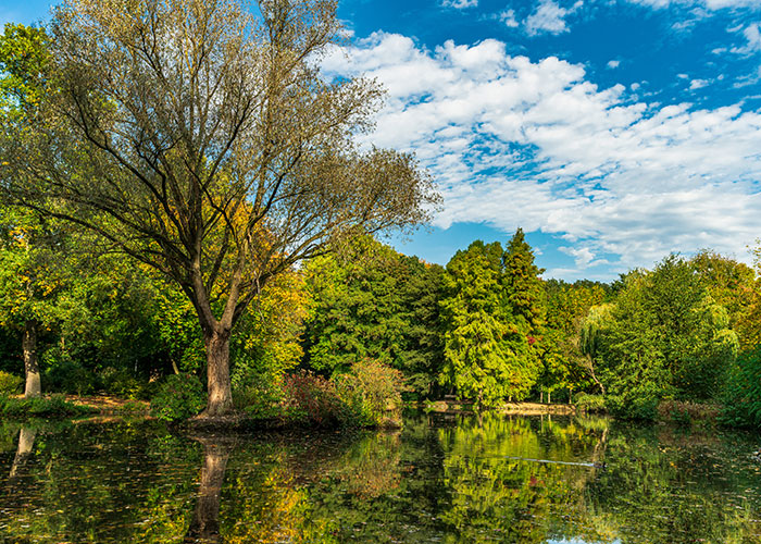 Park-Europe Park Europe