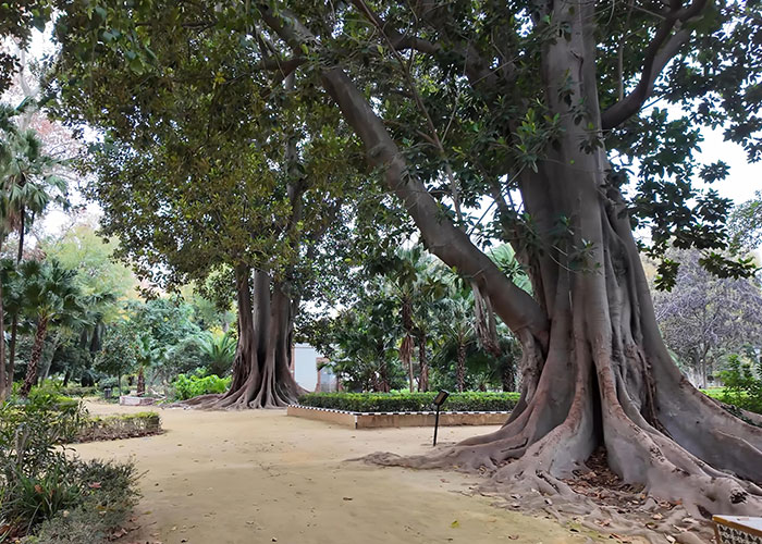 Seville Parque de Maria Luisa