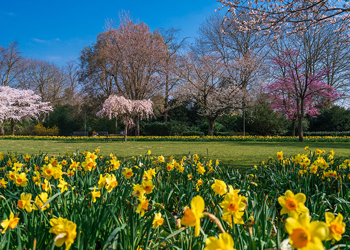 Spring-in-England England Spring